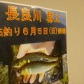 2016年の郡上鮎の解禁日は6月5日(日)