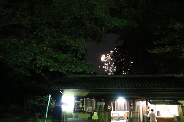 ポケモンgo 岐阜公園はポケモンの聖地だったのかを検証 夜編 Gifu Walker