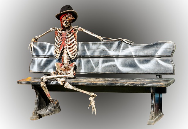skeleton-973116_640