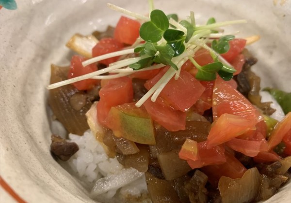 下呂温泉 グルメ 菅田庵のトマト丼