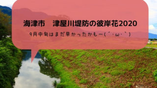 津屋川堤防の彼岸花2020