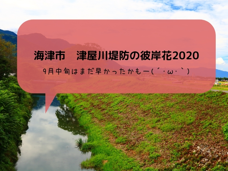 津屋川堤防の彼岸花2020