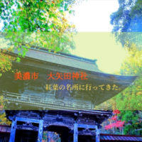 【紅葉の名所】美濃市の大矢田神社もみじ谷で鮮やかな紅葉が見られますよー
