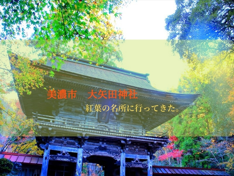 美濃市　大矢田神社の紅葉