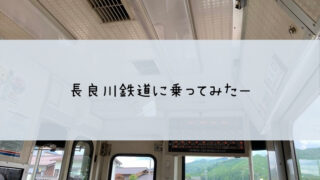 長良川鉄道　乗ってみた