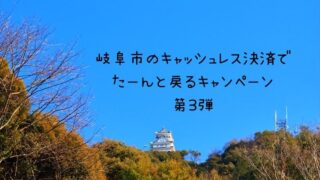 岐阜 PayPay 20%