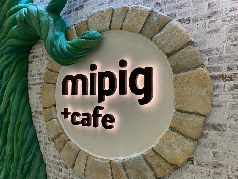名古屋　マイクロブタカフェ　mipig
