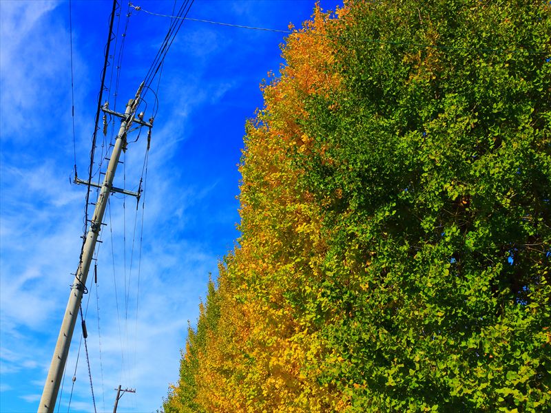 岐阜市・雄日ヶ丘公園