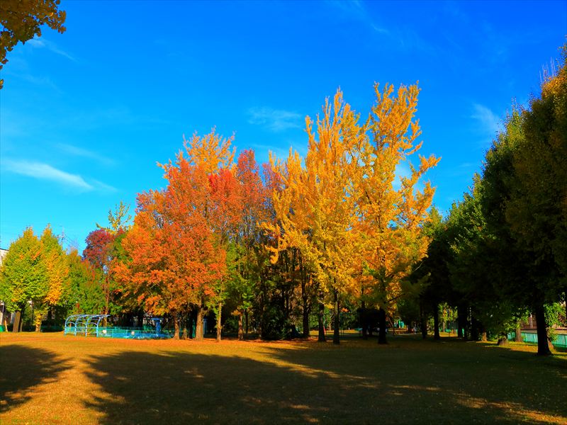 岐阜市・雄日ヶ丘公園