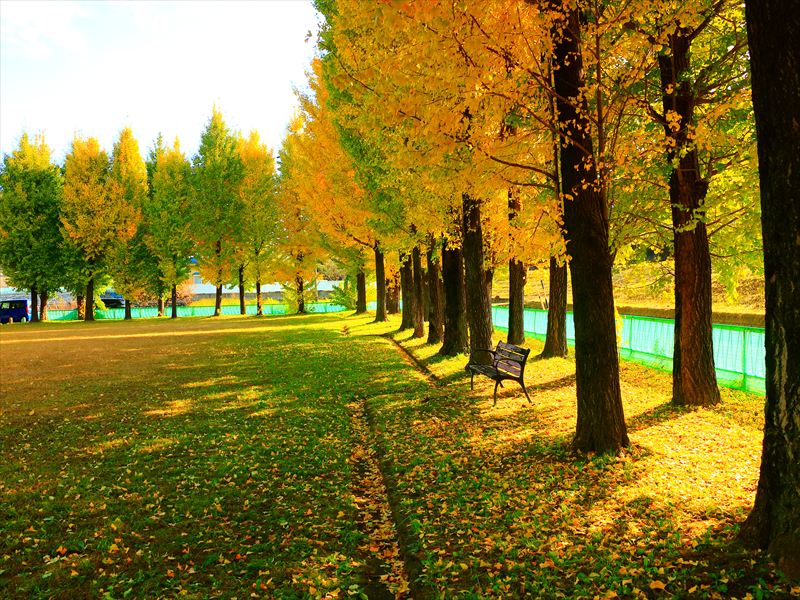 岐阜市・雄日ヶ丘公園