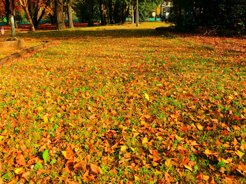 岐阜市・雄日ヶ丘公園