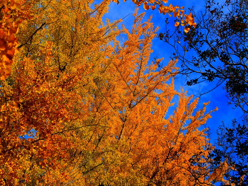 岐阜市・雄日ヶ丘公園