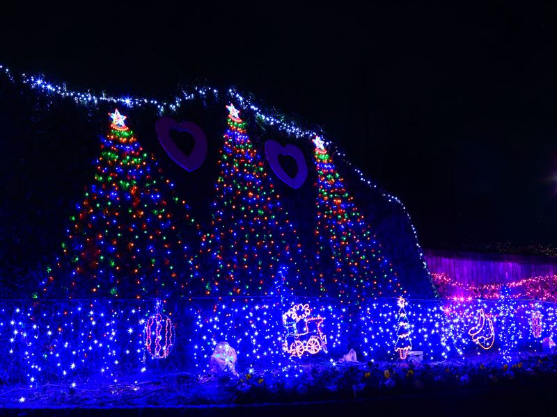 長良公園イルミネーション2025行ってきた！12月25日まで～