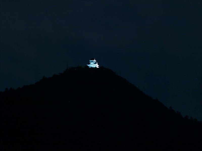 長良公園イルミネーション2025 岐阜城