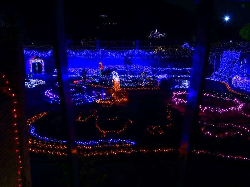 長良公園イルミネーション2025