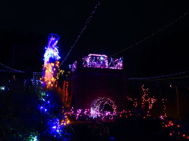 長良公園イルミネーション2025