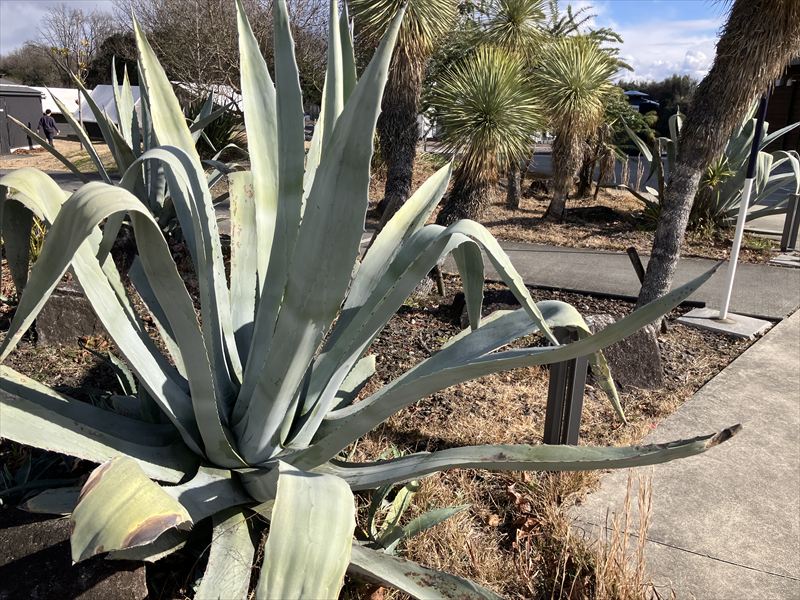 美濃加茂市　リバーポートパーク